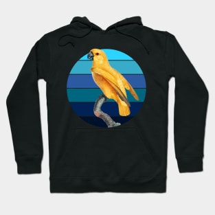 Senegal parrot Retro sunset Hoodie